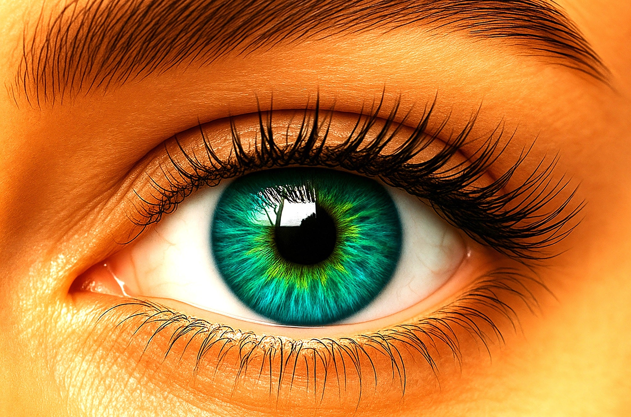 Bold Green Contact Lenses