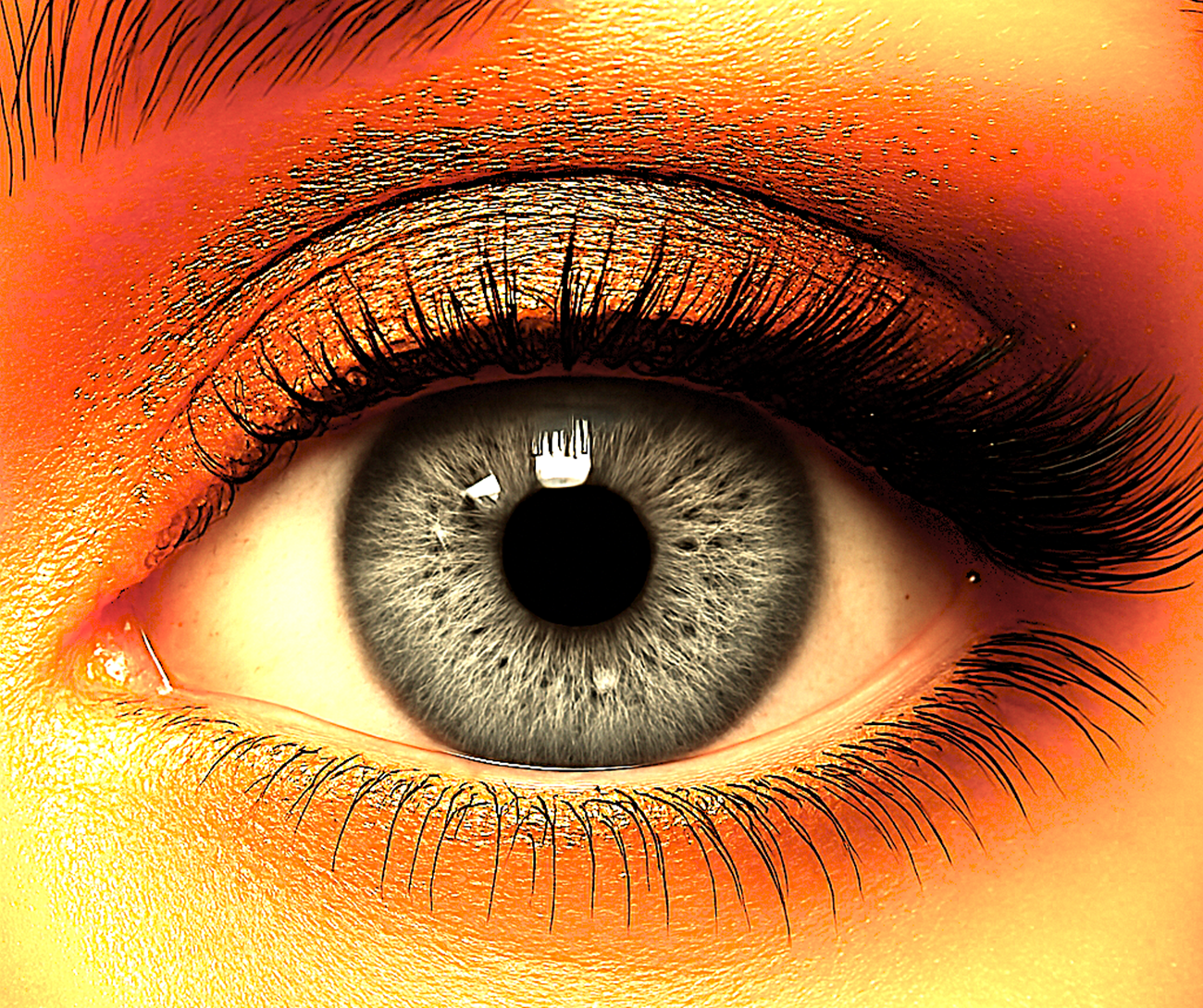 Bold Green Contact Lenses